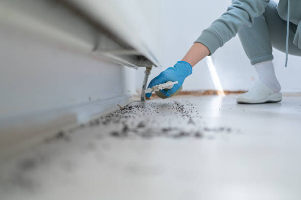 Best Affordable Pest Control Services  in Guthrie, KY